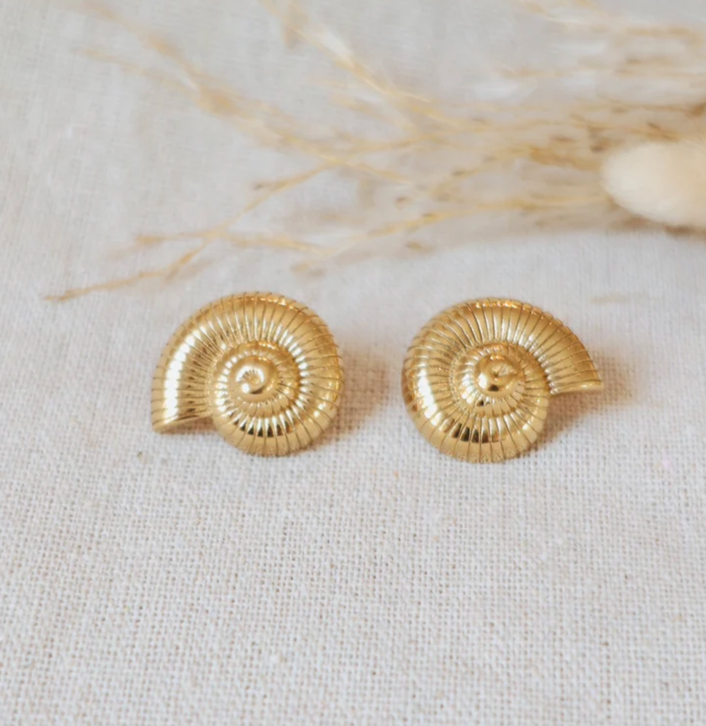 Chunky Shell Earrings