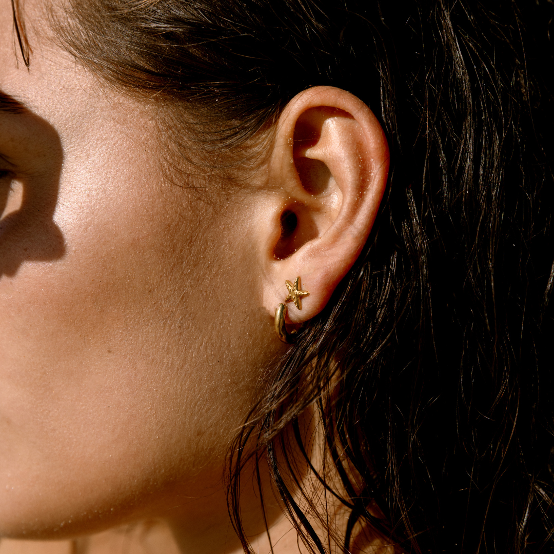 Starfish Earrings
