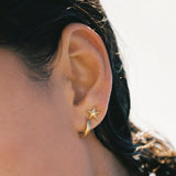 Starfish Earrings