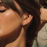 Starfish Earrings